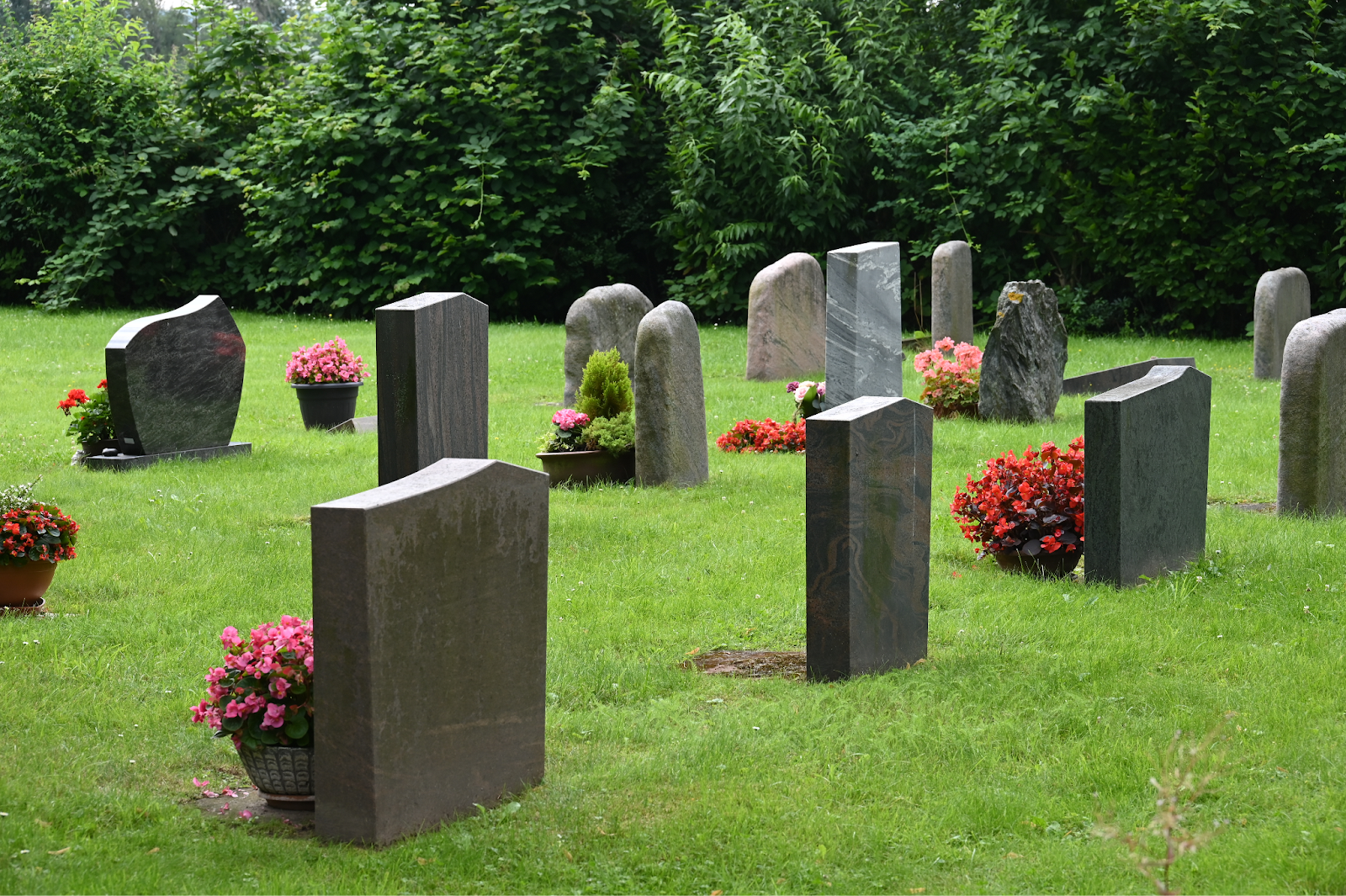 Familien durch den Verlust begleiten: Wichtige Dienstleistungen, die Sie kennen sollten, wenn ein geliebter Mensch stirbt