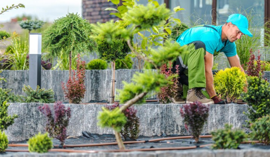 Wie Gartengestaltung Ihren Außenbereich verwandelt